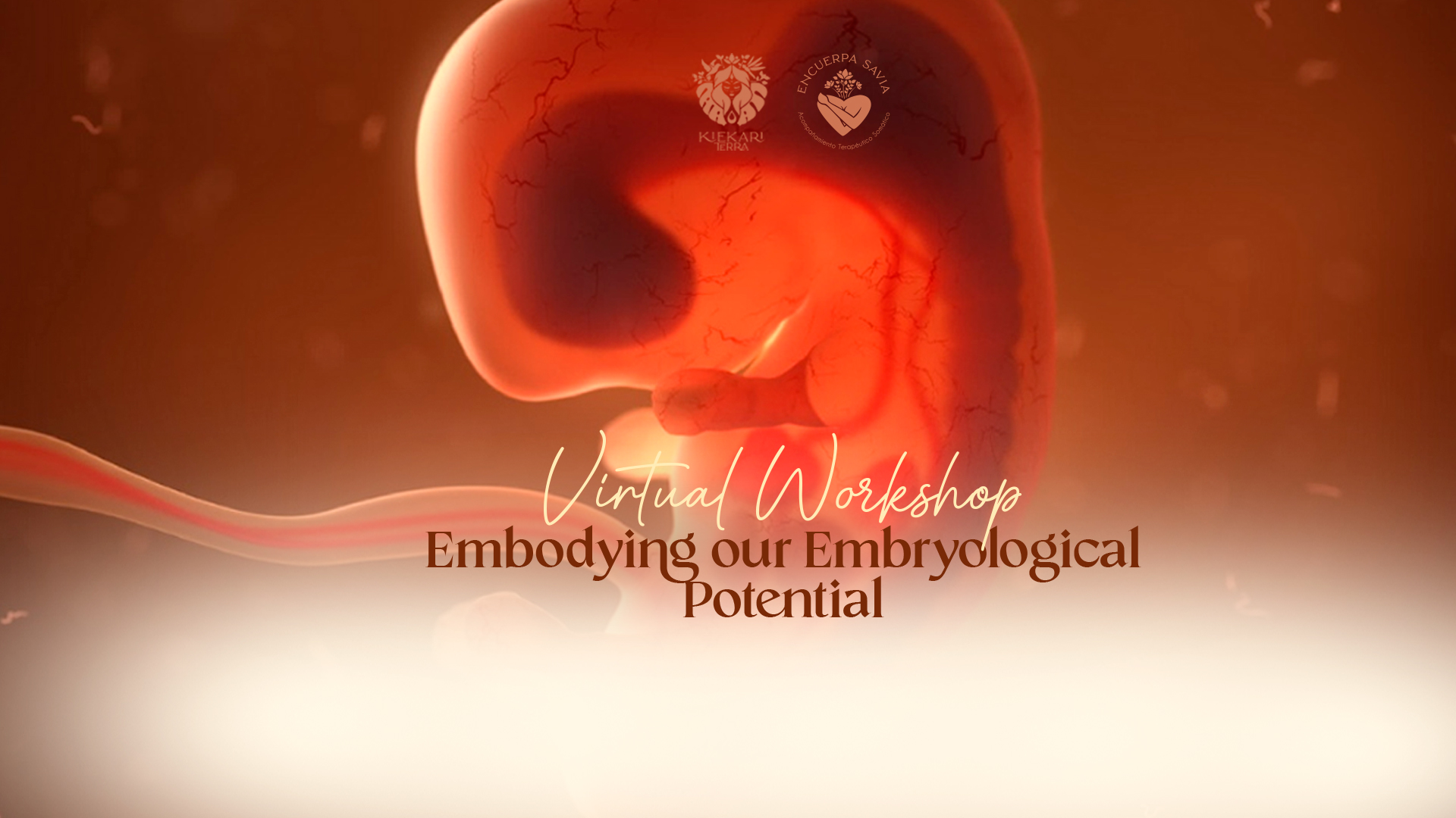 Embodying our Embryological Potential
