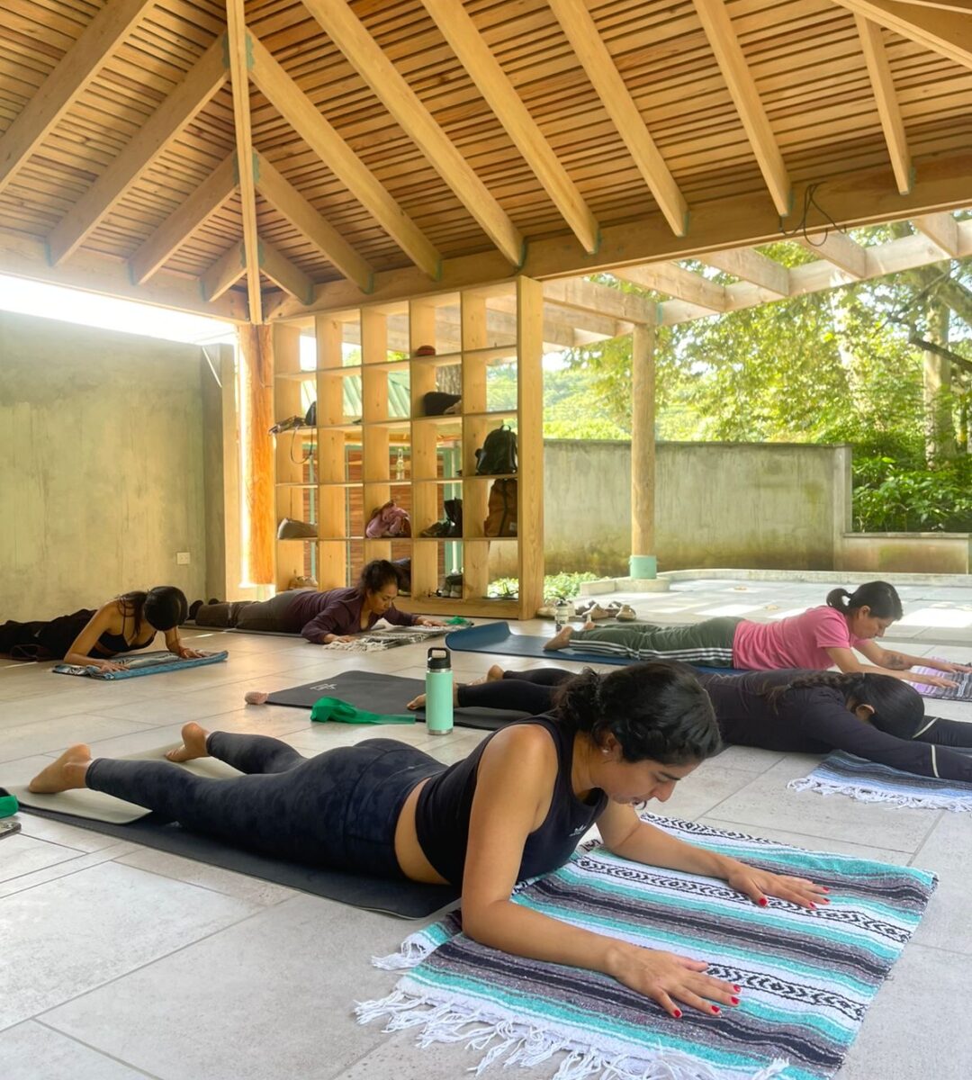 6da94e94-6964-4339-9b8c-abb7e66efa4e