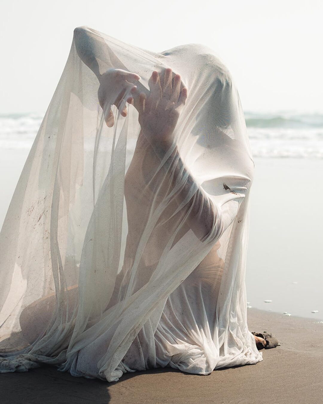 Memorias Embrionarias 25